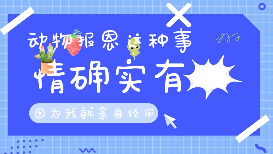 动物报恩这种事情确实有因为我就亲身经历过……！