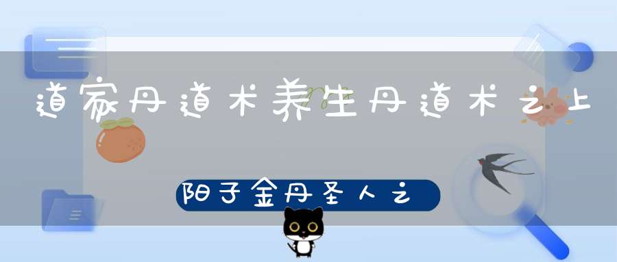 道家丹道术养生丹道术之上阳子金丹圣人之德和生死事大等