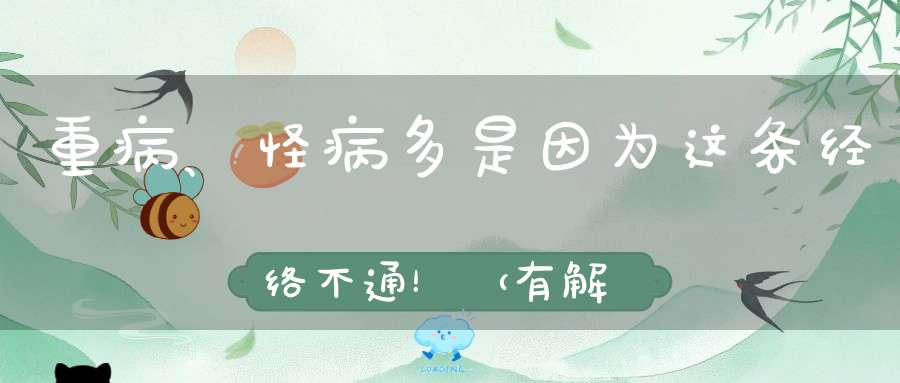 重病、怪病多是因为这条经络不通！（有解决办法）