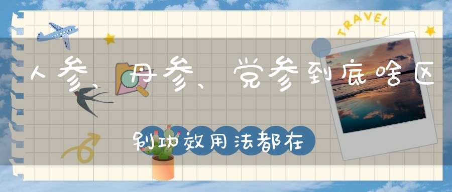 人参、丹参、党参到底啥区别功效用法都在这了！