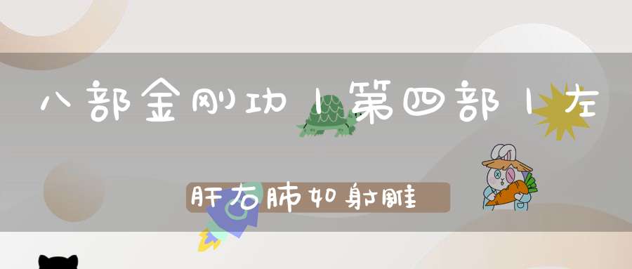 八部金刚功丨第四部丨左肝右肺如射雕