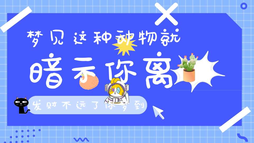 梦见这种动物就暗示你离发财不远了你梦到过吗