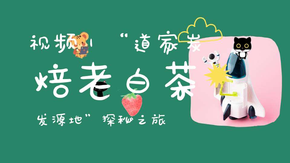 视频｜“道家炭焙老白茶发源地”探秘之旅！